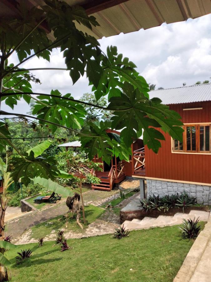 Guest House Quinta Natural Bangalots Graca Exterior foto