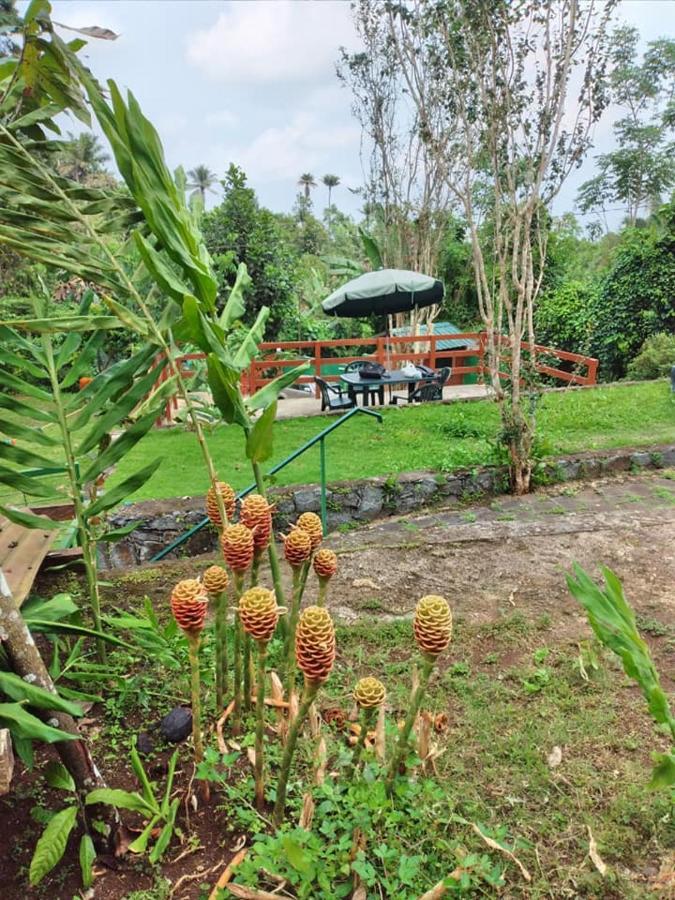 Guest House Quinta Natural Bangalots Graca Exterior foto