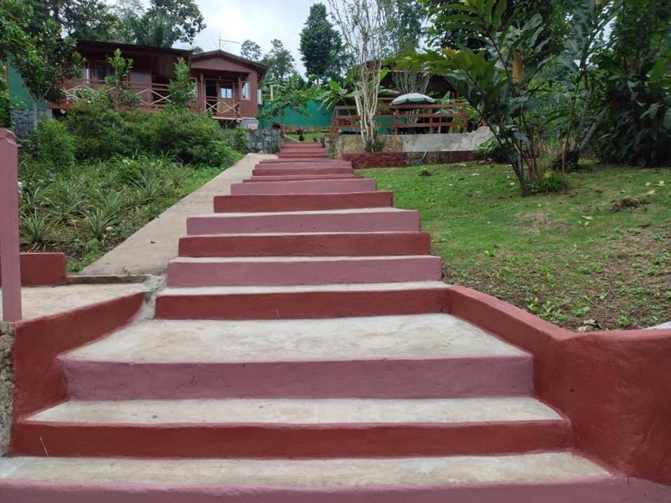 Guest House Quinta Natural Bangalots Graca Exterior foto