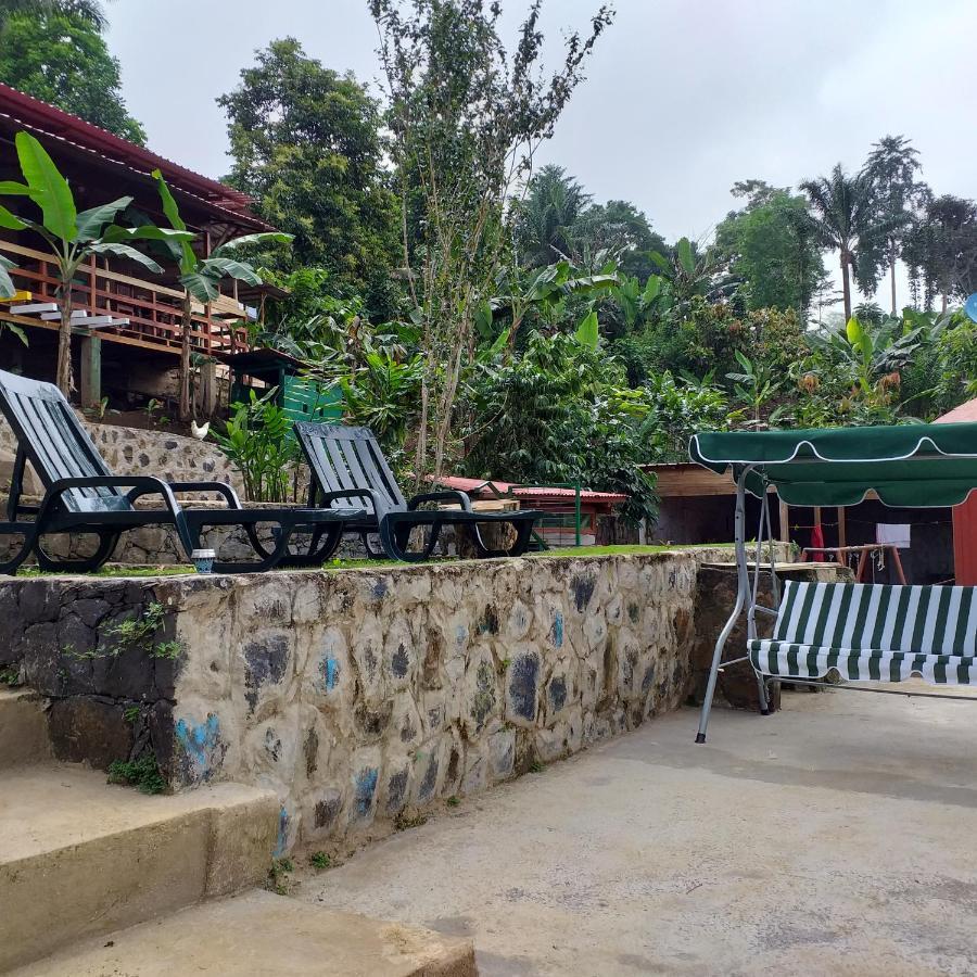 Guest House Quinta Natural Bangalots Graca Exterior foto
