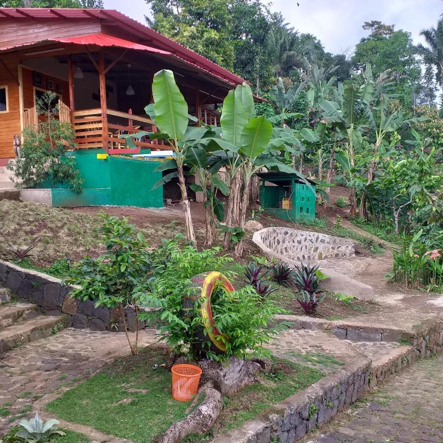 Guest House Quinta Natural Bangalots Graca Exterior foto