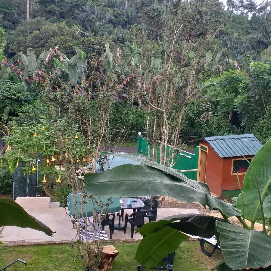Guest House Quinta Natural Bangalots Graca Exterior foto