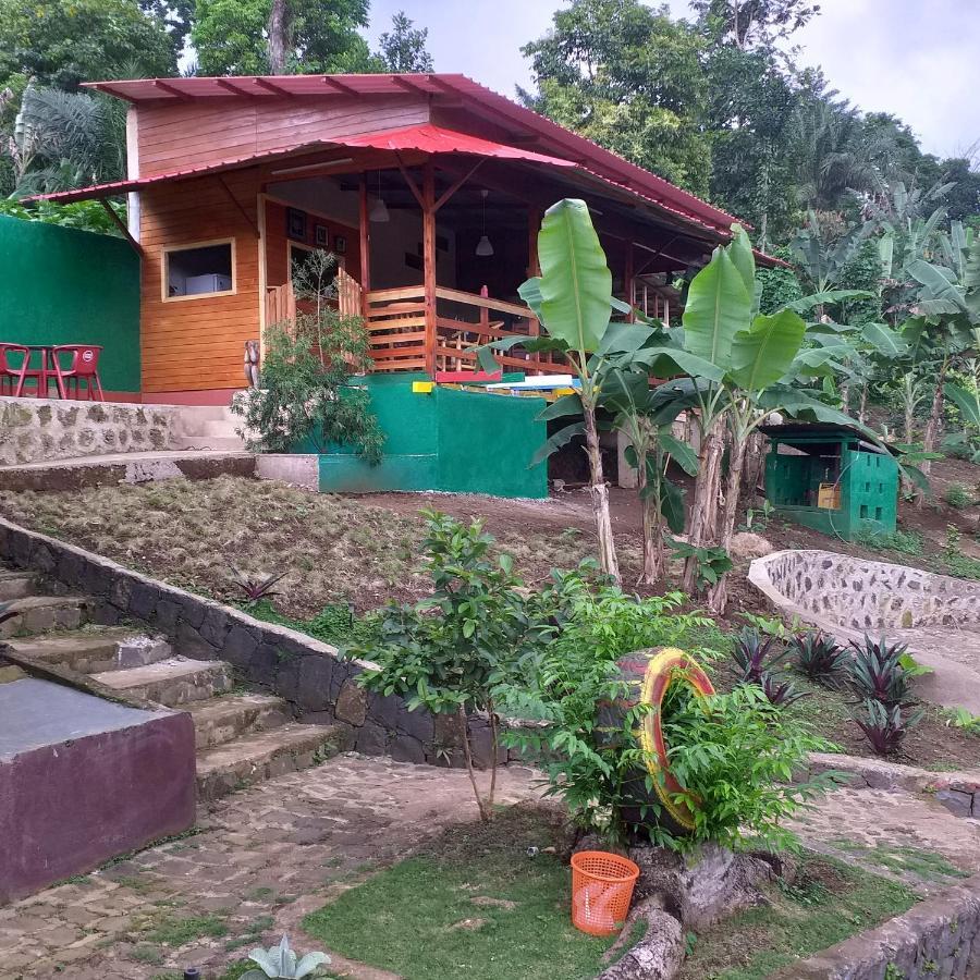 Guest House Quinta Natural Bangalots Graca Exterior foto